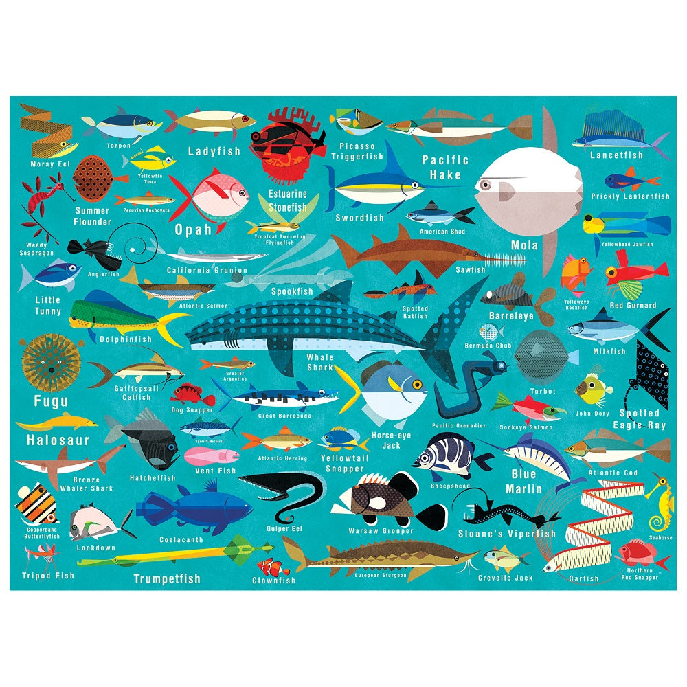 PUZZLE 1000PCS, VIDA DEL OCEANO
