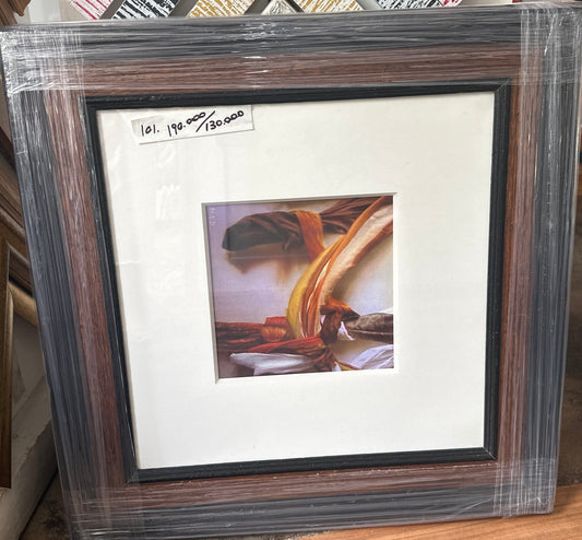 MARCO ANTONIO DIAZ - CUADRO 101